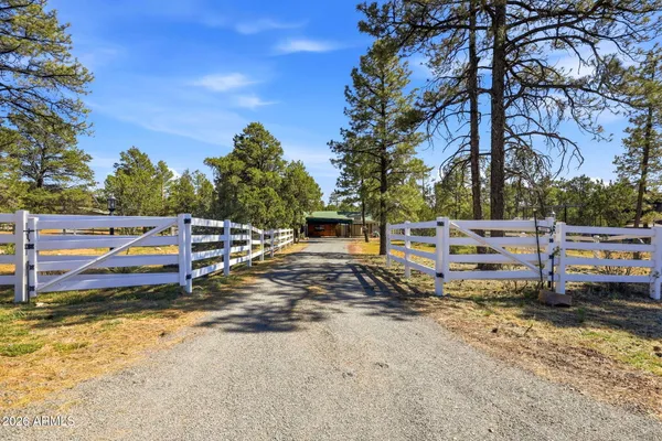 a view of a park with large trees