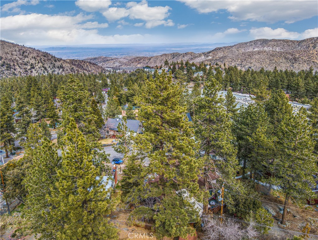 5218 Desert View Drive Wrightwood, CA 92397 - Photo 45 of 50 a view of a city with mountains in the background