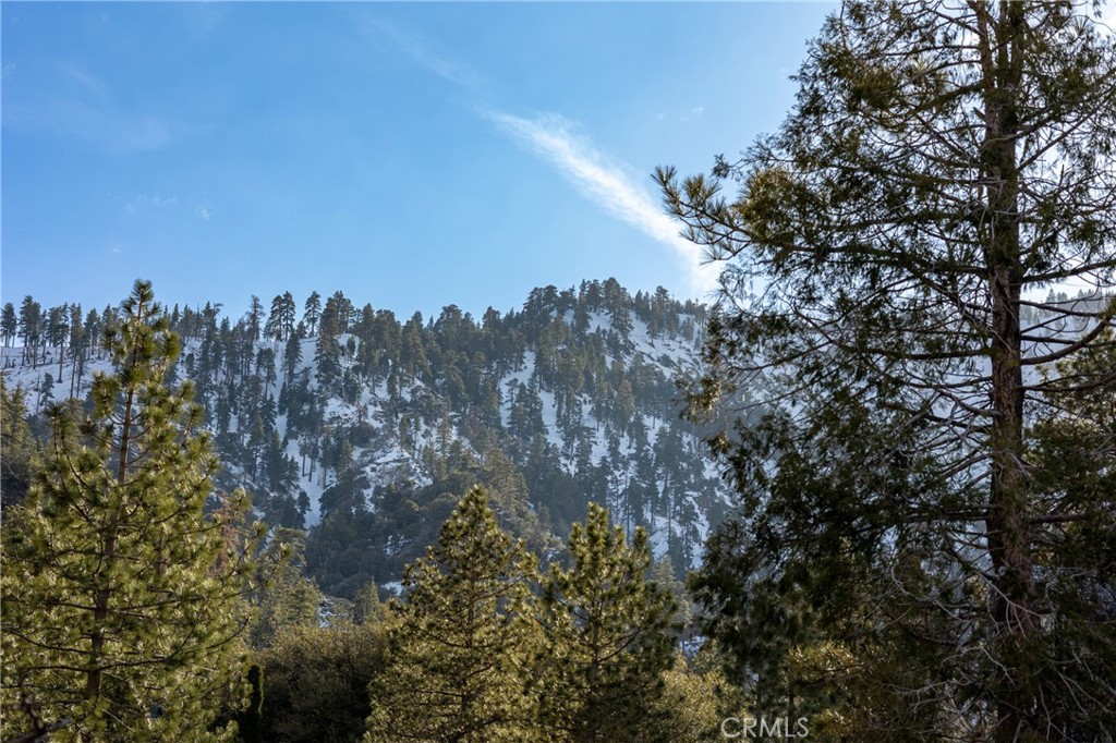 5218 Desert View Drive Wrightwood, CA 92397 - Photo 5 of 50 a view of a city