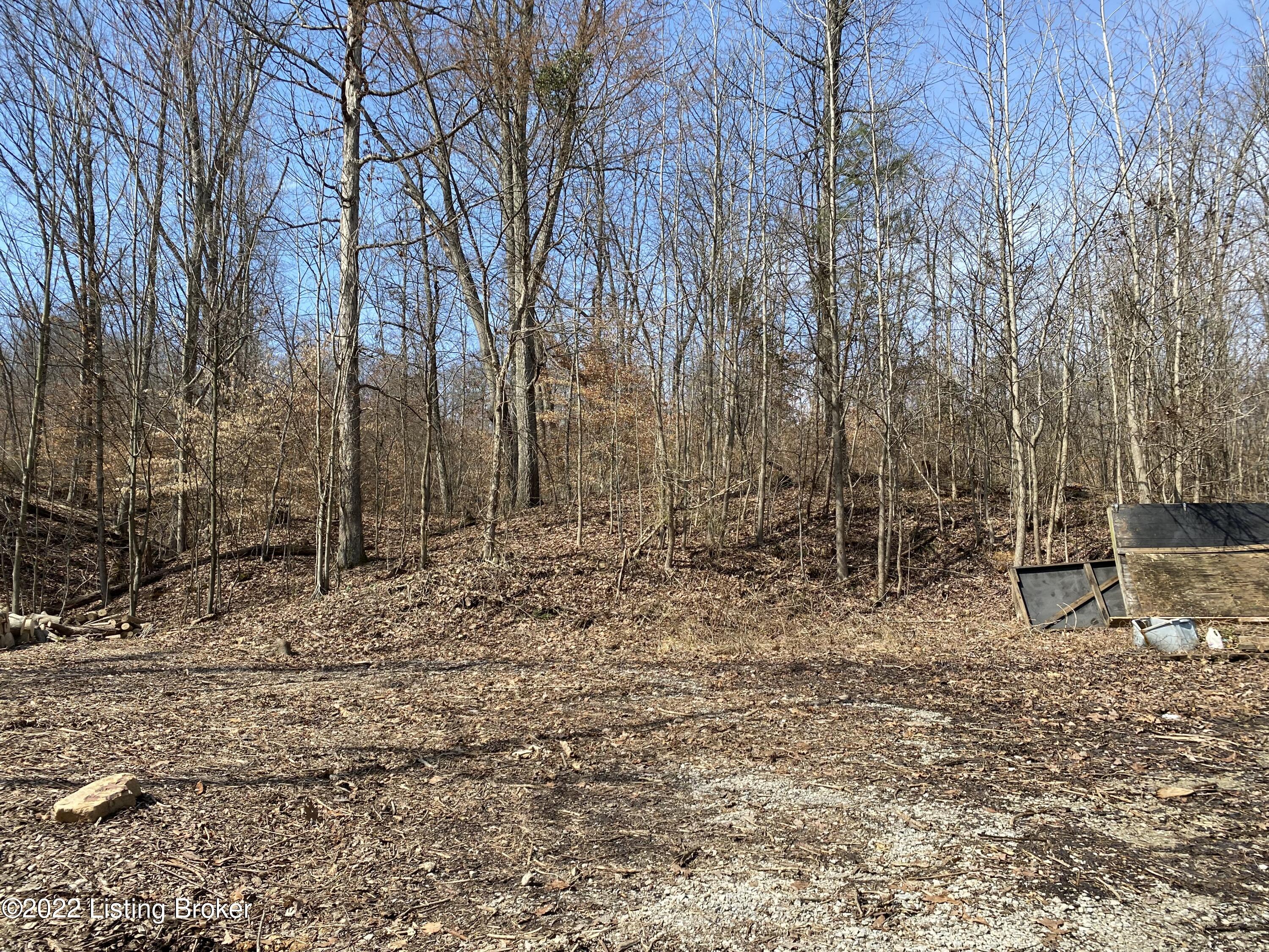 177 Coral Ridge Road Shepherdsville, KY 40165 - Photo 17 of 22 Backyard
