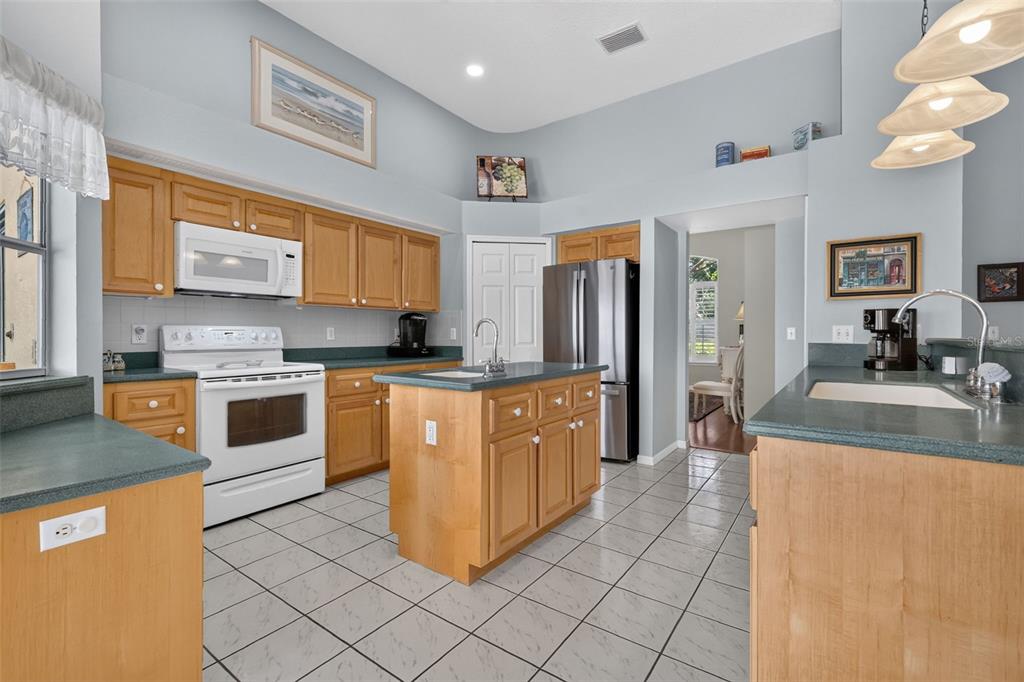 29742 Squirrel Point Road Tavares, FL 32778 - Photo 14 of 58