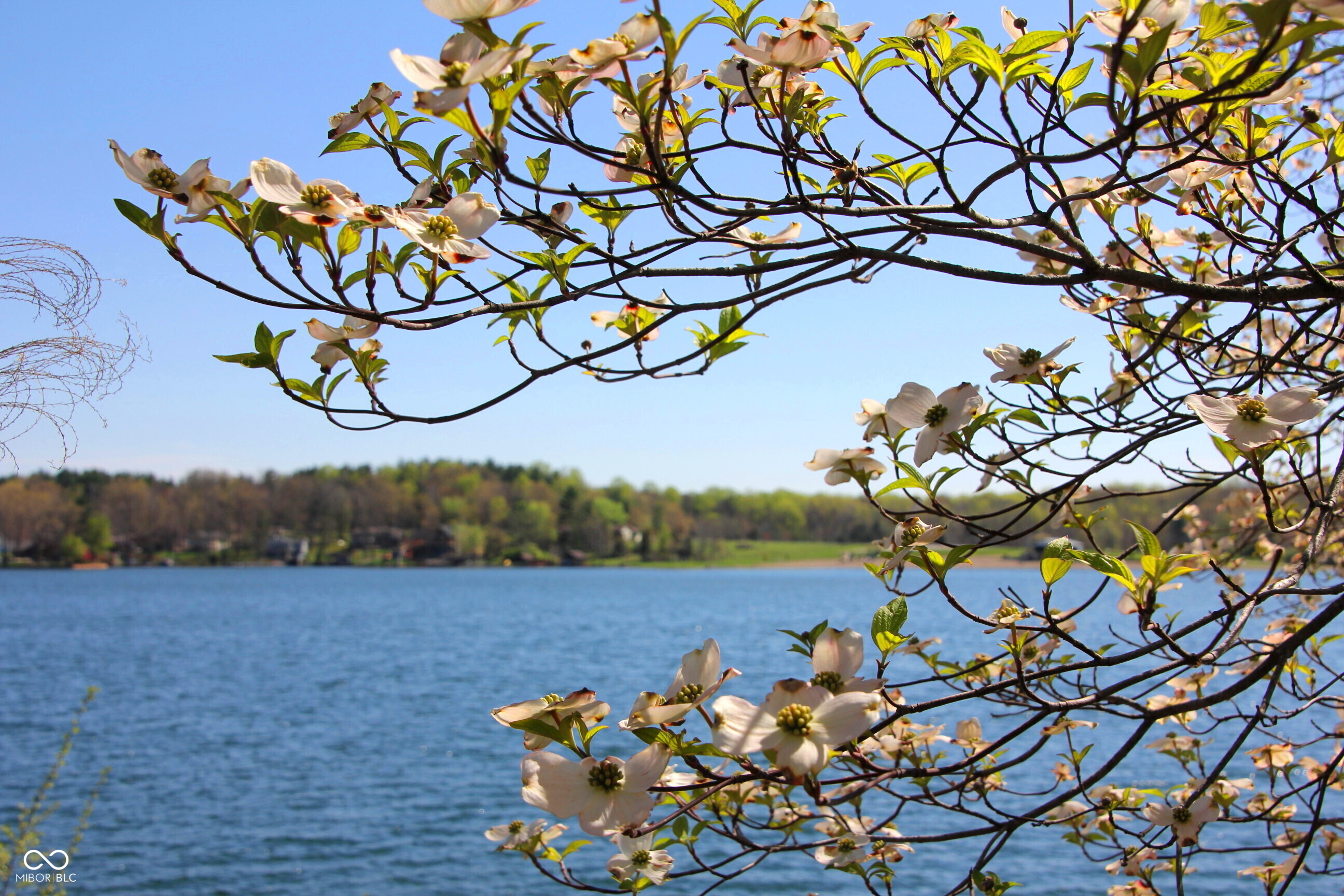 7074 Raccoon Nineveh, IN 46164 - Photo 50 of 50