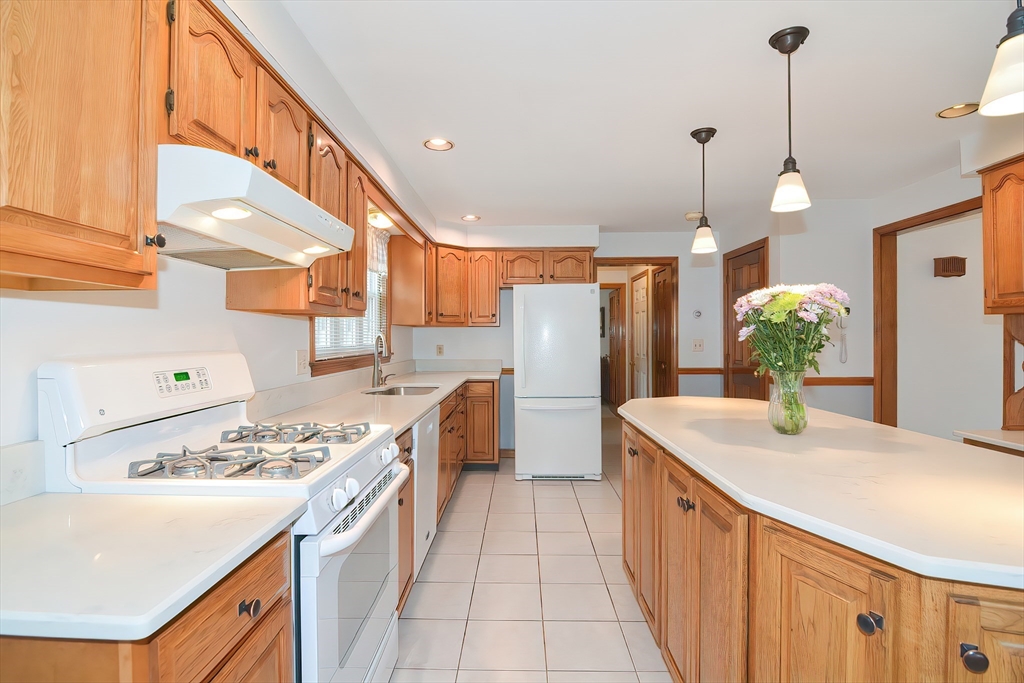 21 Ida Road Worcester, MA 01604 - Photo 4 of 42 Gallery Image 4