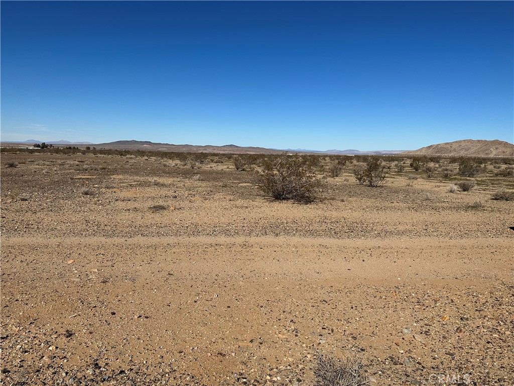 47016227 Yucca Oro Grande Ca  