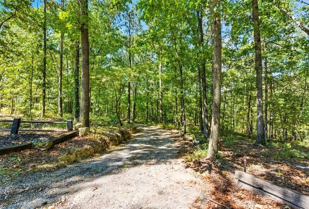 96 Collins Road Rome, GA 30161 - Photo 47 of 57 a view of a yard with plants and trees