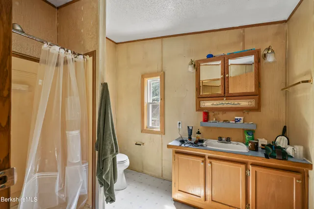 a view of a trees in a yard