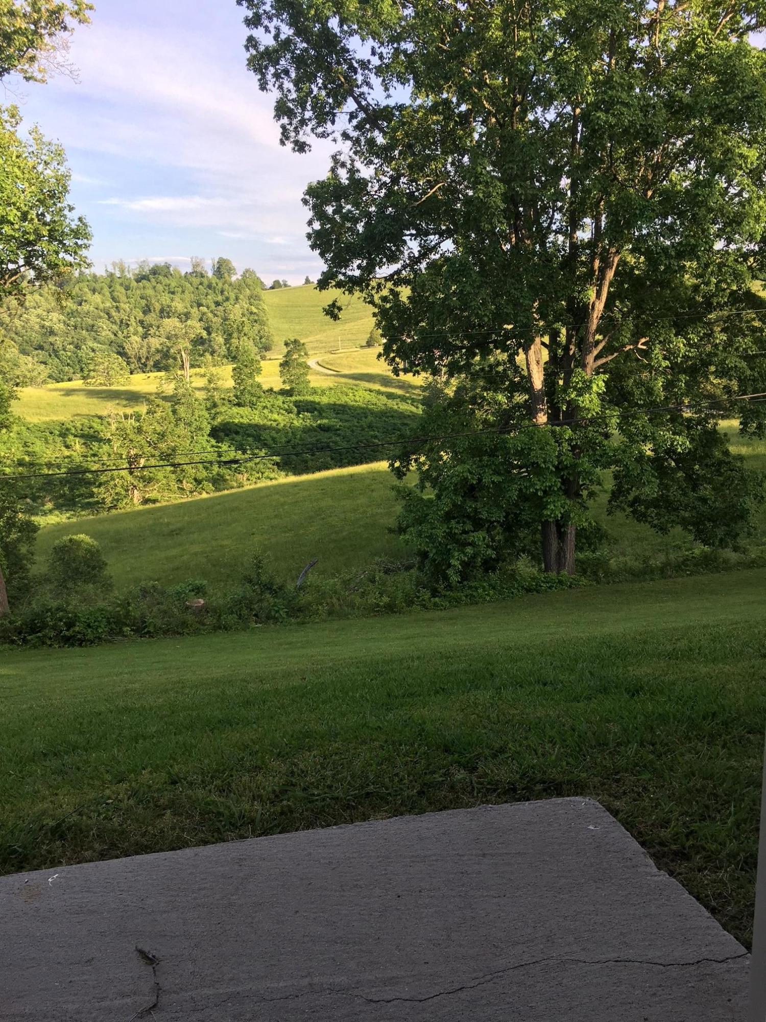 570 Coffey Road New Tazewell, TN 37825 - Photo 32 of 35 Back yard