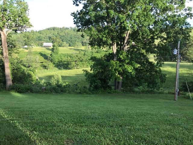 570 Coffey Road New Tazewell, TN 37825 - Photo 5 of 35 back yard