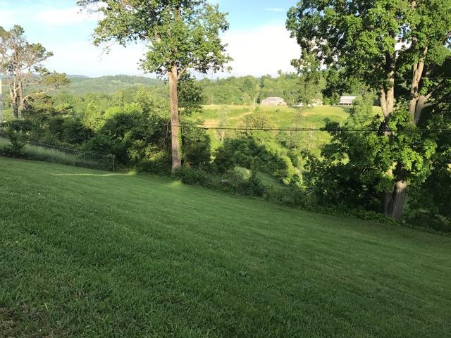 570 Coffey Road New Tazewell, TN 37825 - Photo 6 of 35 back yard