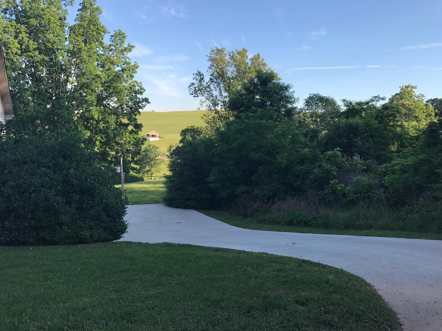 570 Coffey Road New Tazewell, TN 37825 - Photo 8 of 35 Driveway to Garage