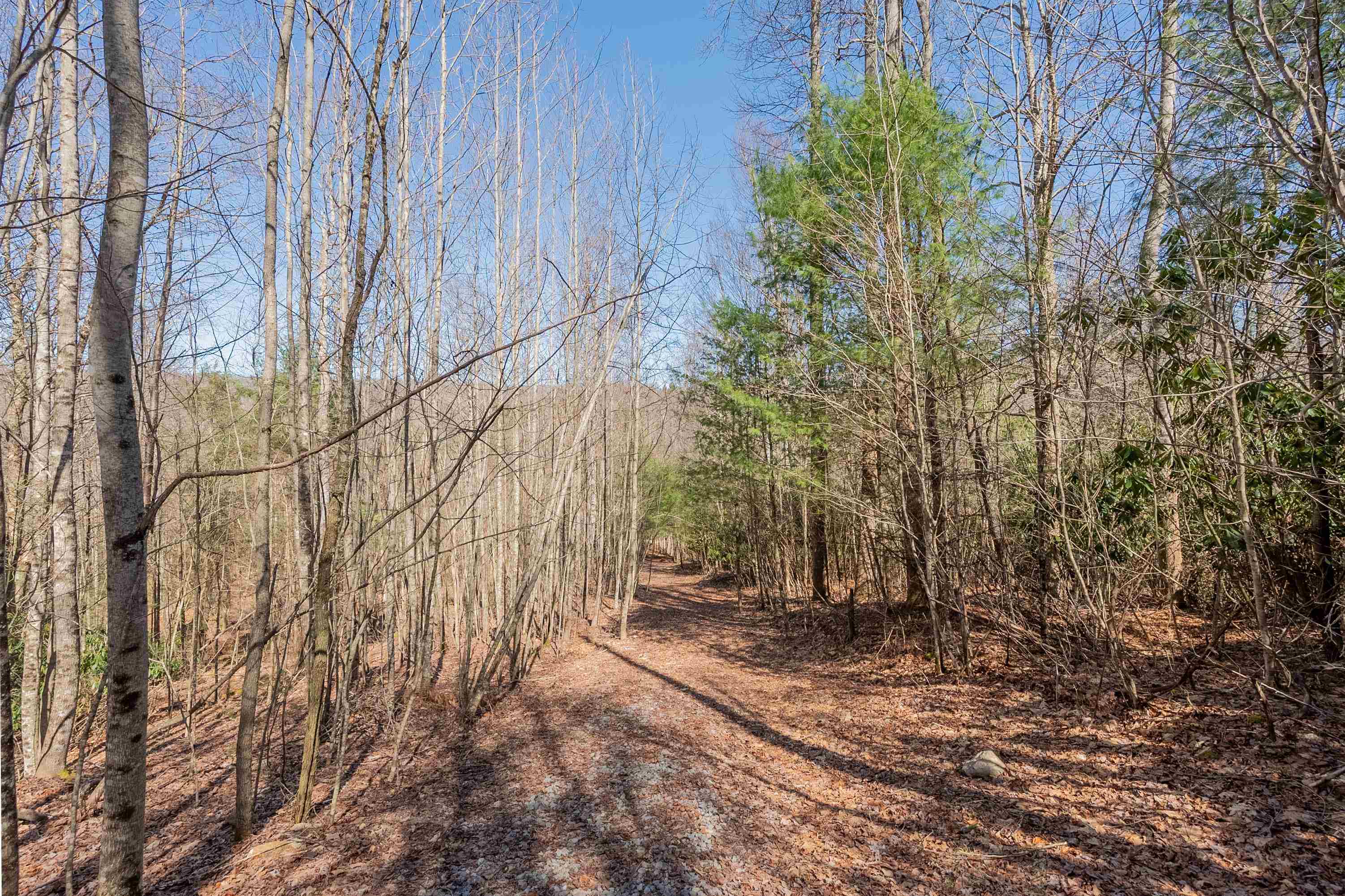 Tbd Southwest Tbd Sw Jeb Stuart Road Southwest Damascus, VA 24236 - Photo 52 of 113 Gallery Image 52
