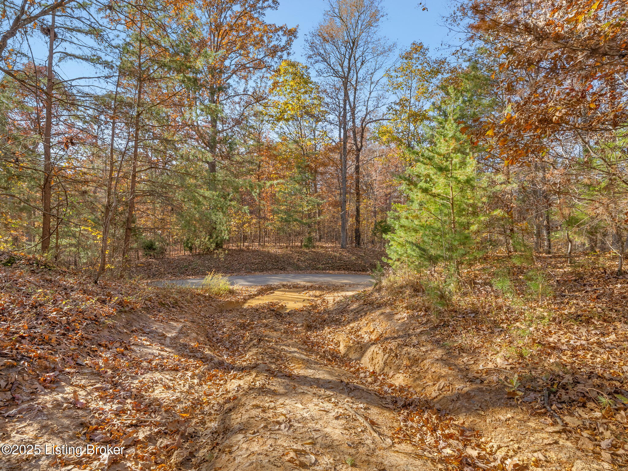 0 Beckye Lane Hanson, KY 42413 - Photo 5 of 67 67-web-or-mls-beckye-ln