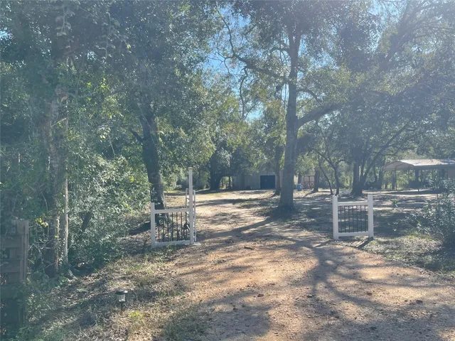 a view of a yard with a tree