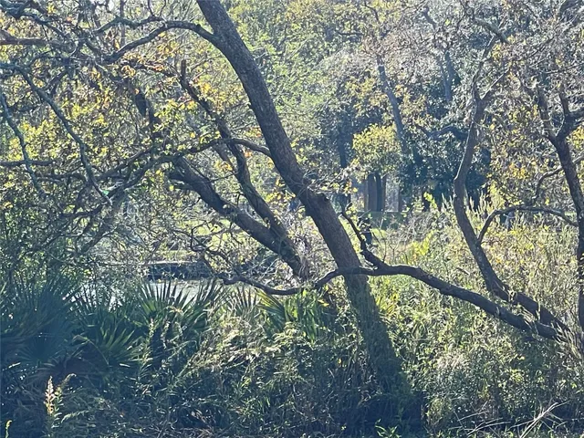 a view of a yard with a tree