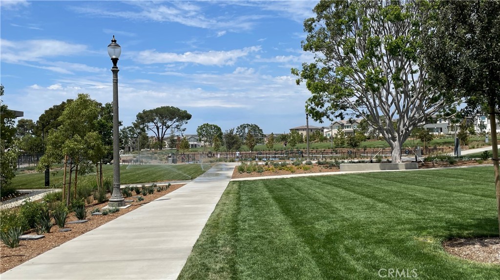 230 Sora Irvine, CA 92618 - Photo 47 of 52 a view of a park with large trees