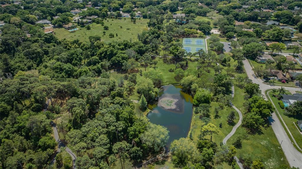 520 Sandy Hook Road Palm Harbor, FL 34683 - Photo 69 of 76