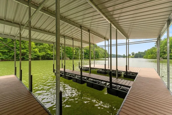 a view of a lake with a large trees