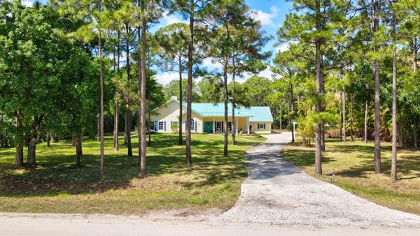 a view of a park with large trees