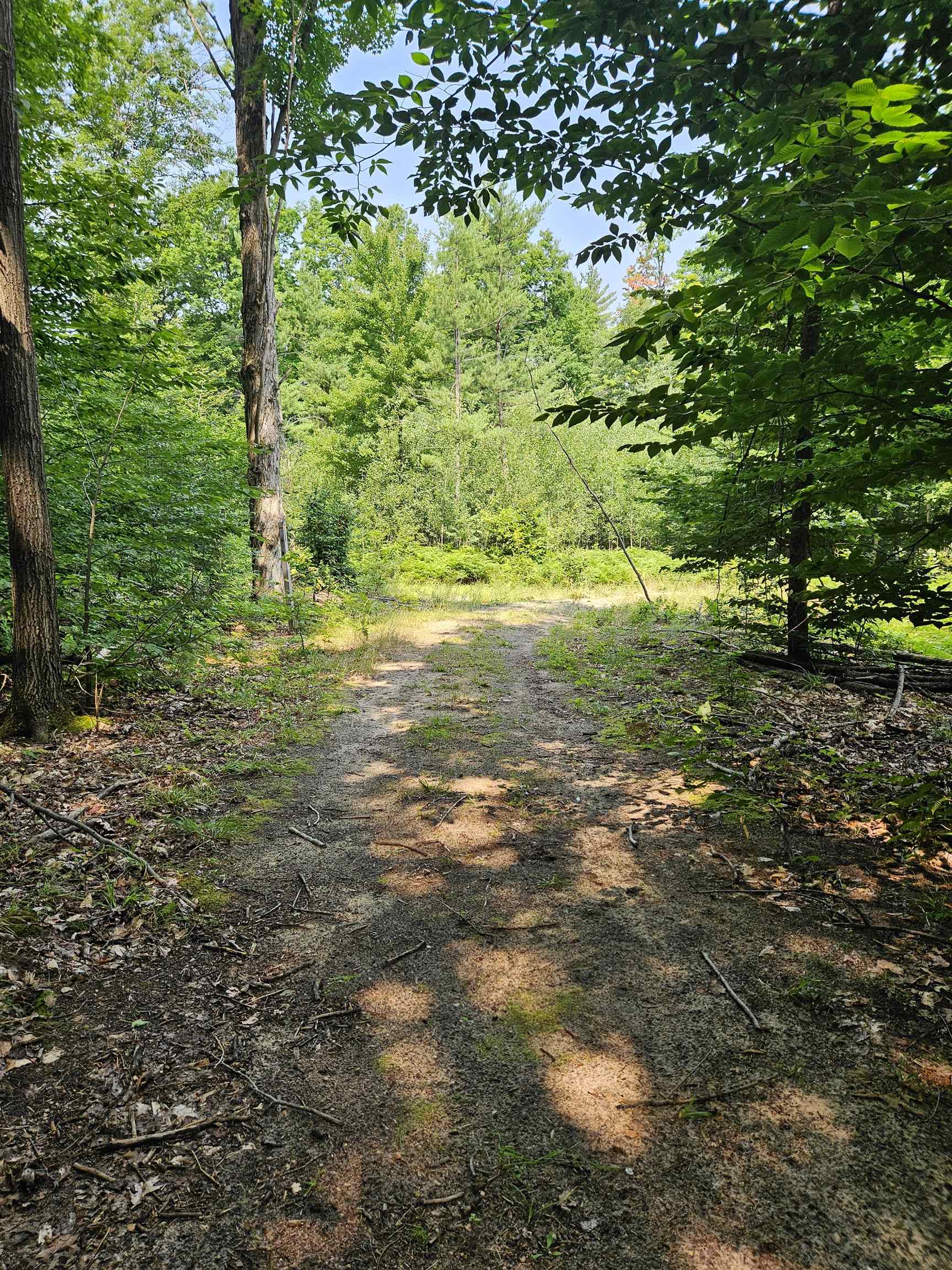 11268 Watson Road Williamsburg, MI 49690 - Photo 6 of 57