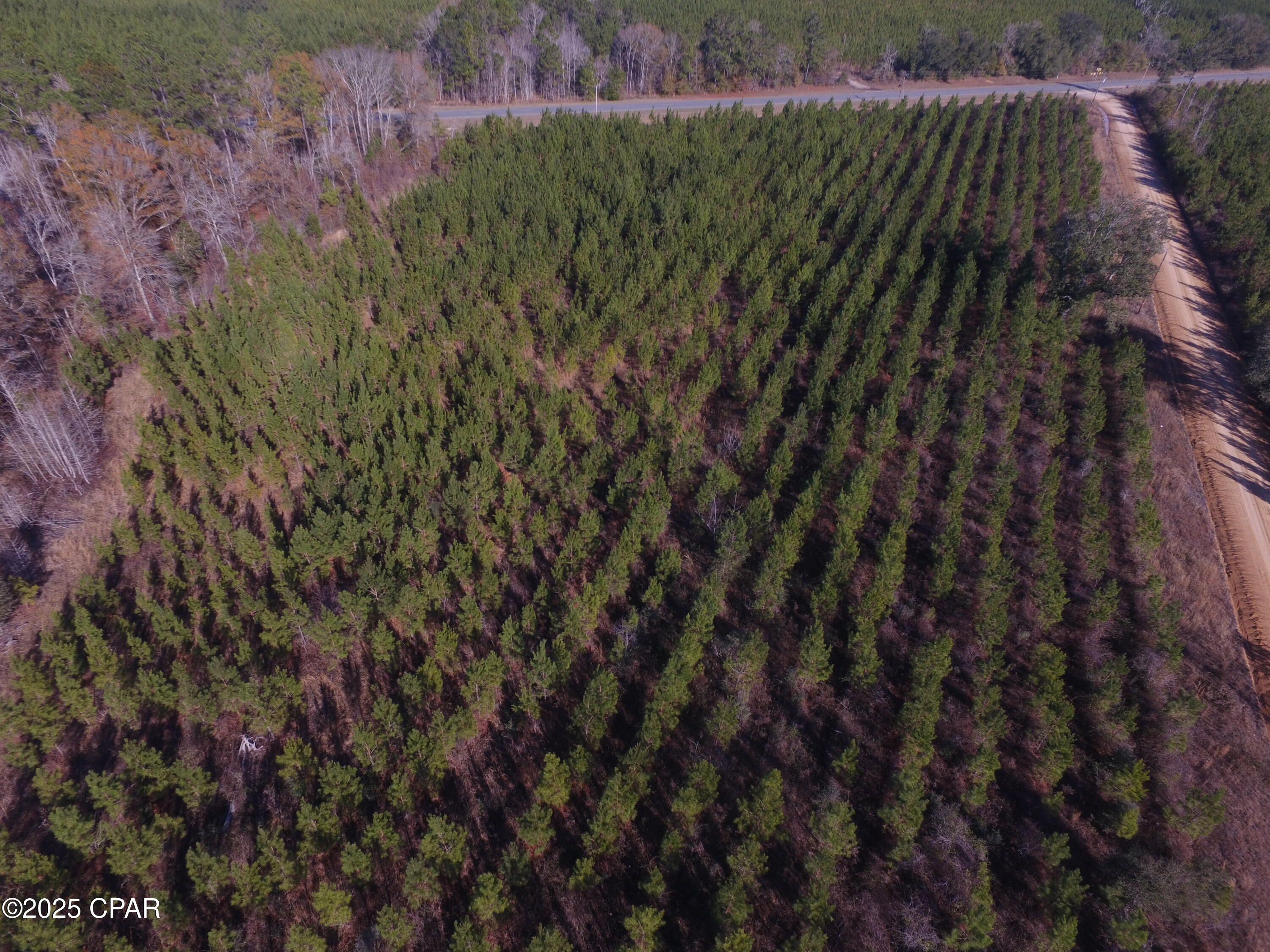 Tbd Lot 3 Tbd Road Cottondale, FL 32431 - Photo 18 of 22