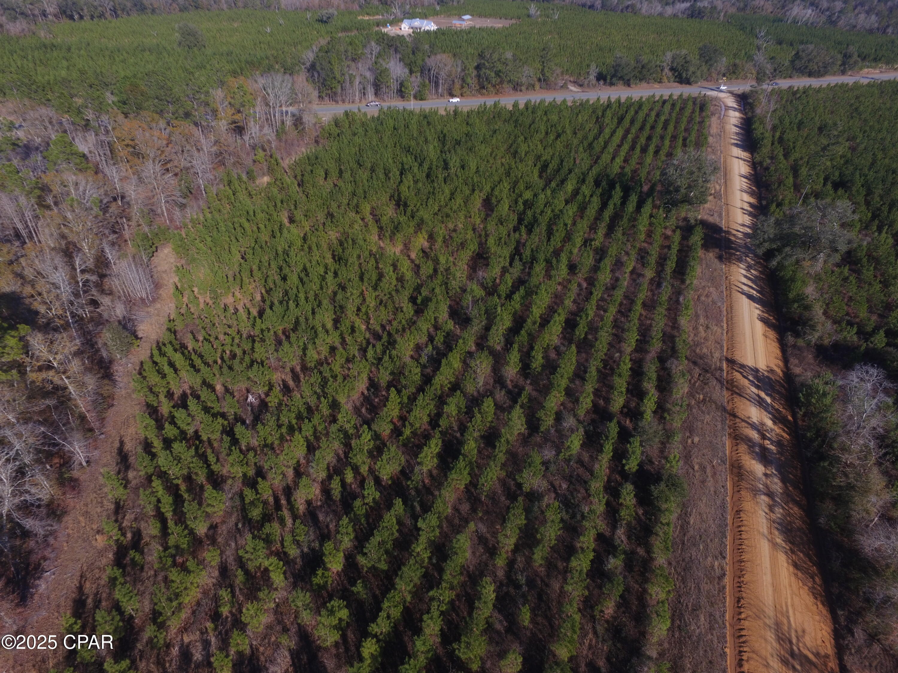 Tbd Lot 3 Tbd Road Cottondale, FL 32431 - Photo 21 of 22