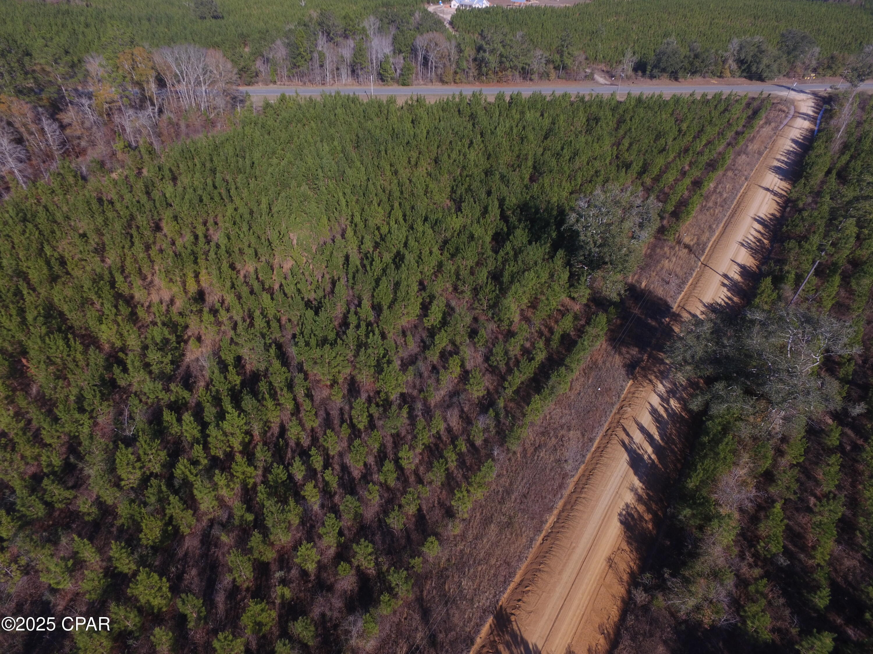 Tbd Lot 3 Tbd Road Cottondale, FL 32431 - Photo 3 of 22