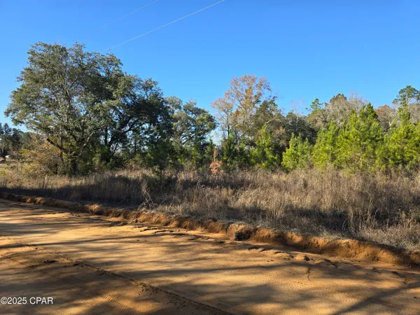 $50,000 | Tbd Lot 3 Tbd Road, Cottondale, FL 32431