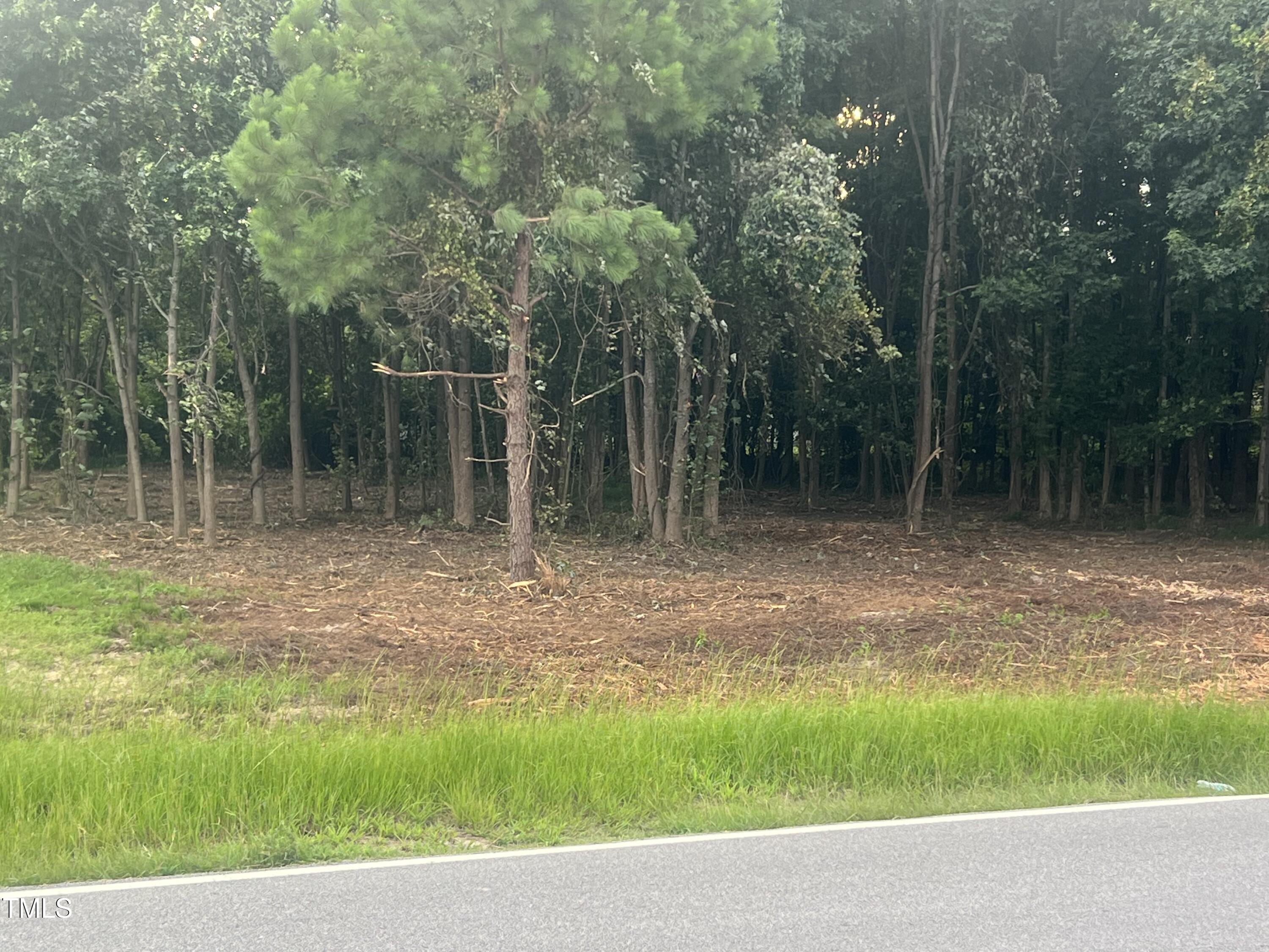 175 White Memorial Road Angier, NC 27501 - Photo 4 of 12 Wooded Area