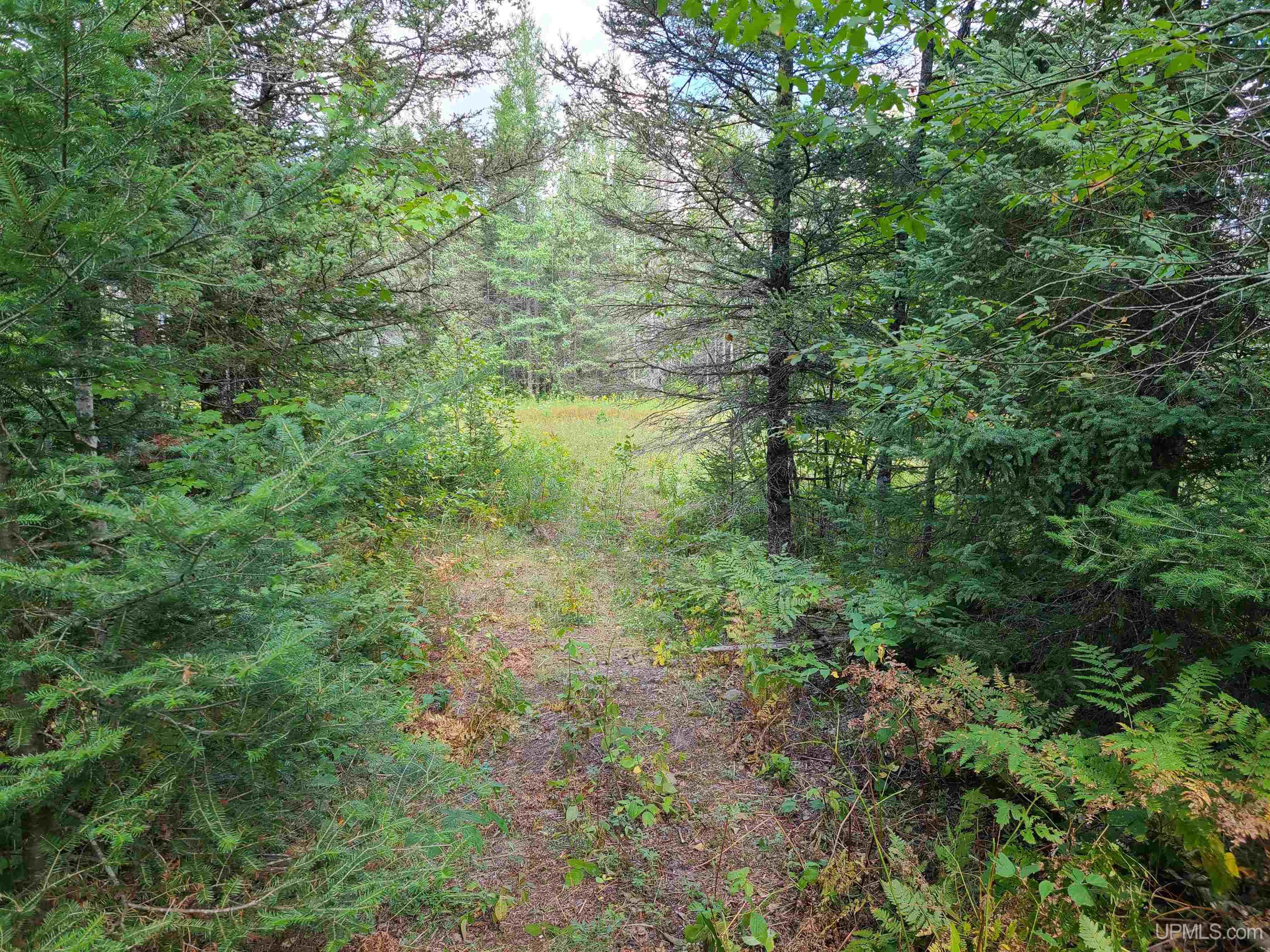 W1322 Co Road Felch, MI 49831 - Photo 11 of 17