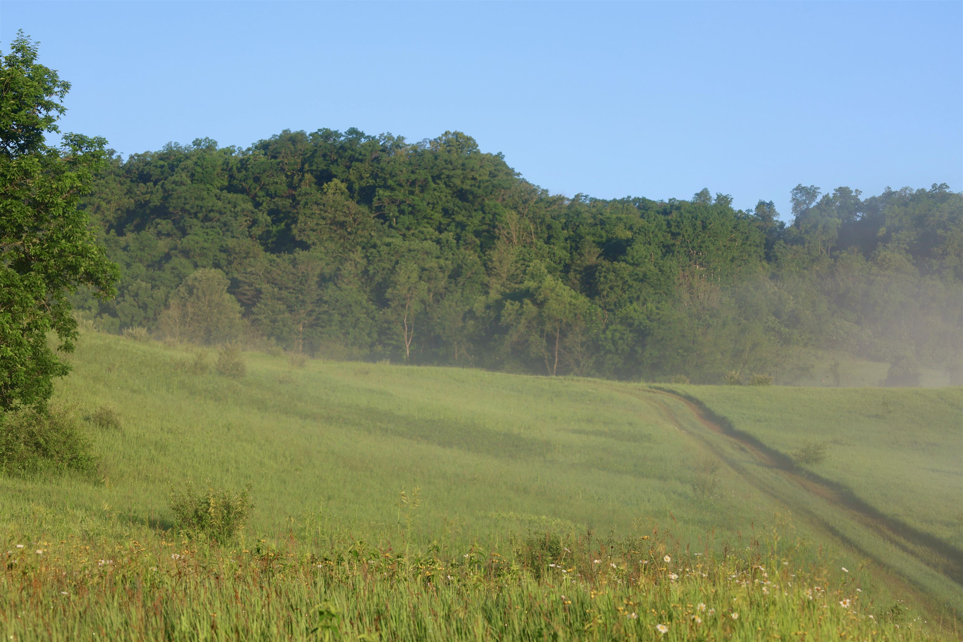 Tbd Wheat Hollow Road Cazenovia, WI 53924 - Photo 26 of 42