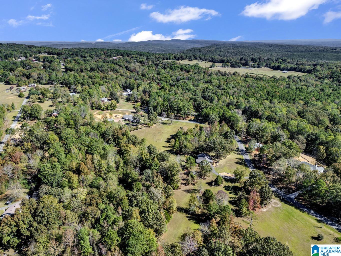 535 Ridge Trail Warrior, AL 35180 - Photo 57 of 64 Gallery Image 57
