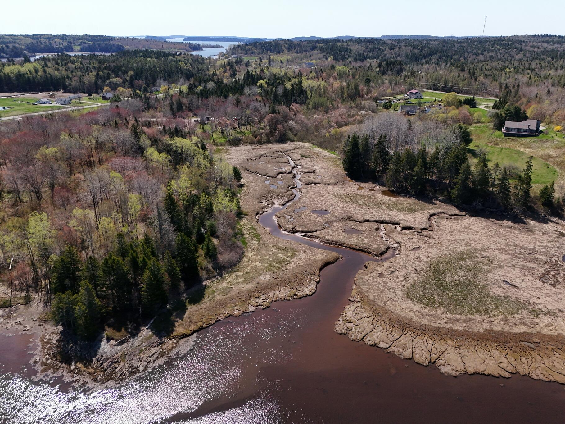 21 East Palmer Road Machiasport, ME 04655 - Photo 11 of 16 Side of Property