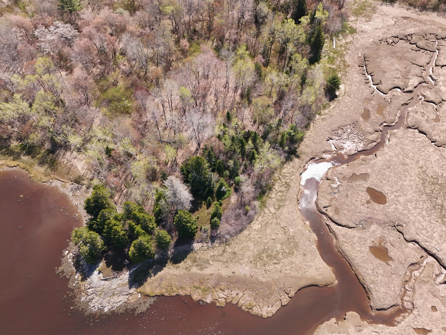 21 East Palmer Road Machiasport, ME 04655 - Photo 13 of 16 Side of Property-Low Tide