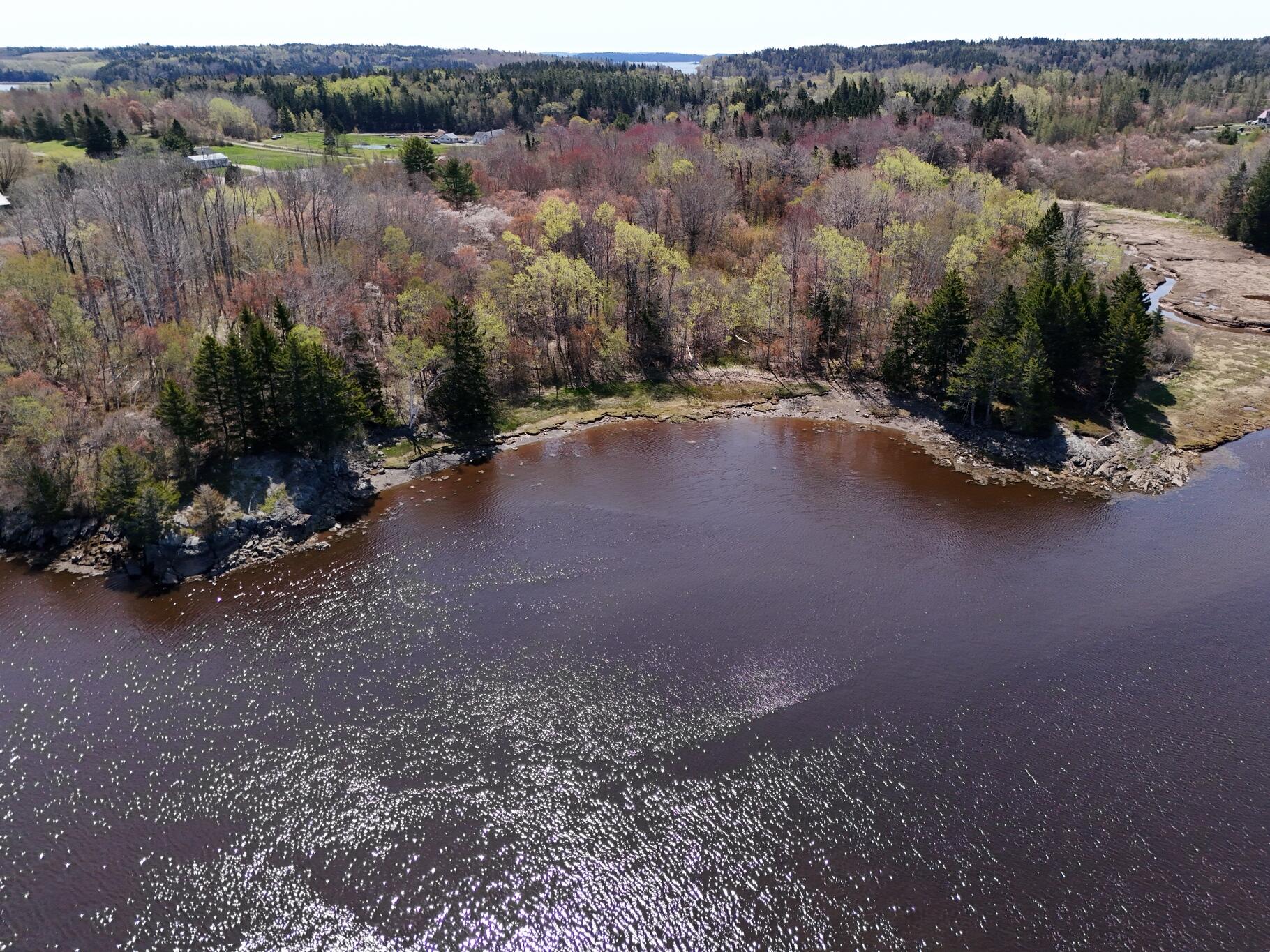 21 East Palmer Road Machiasport, ME 04655 - Photo 8 of 16 Top of Property ON River