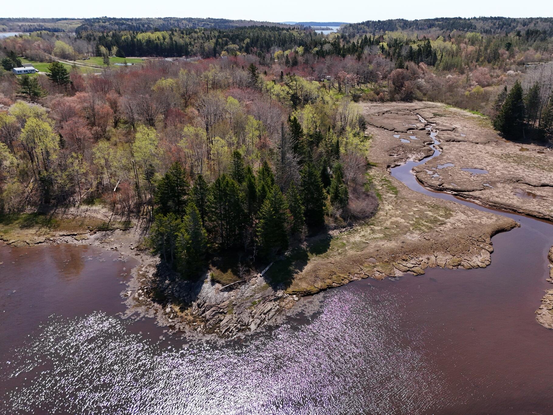 21 East Palmer Road Machiasport, ME 04655 - Photo 10 of 16 Side of Property