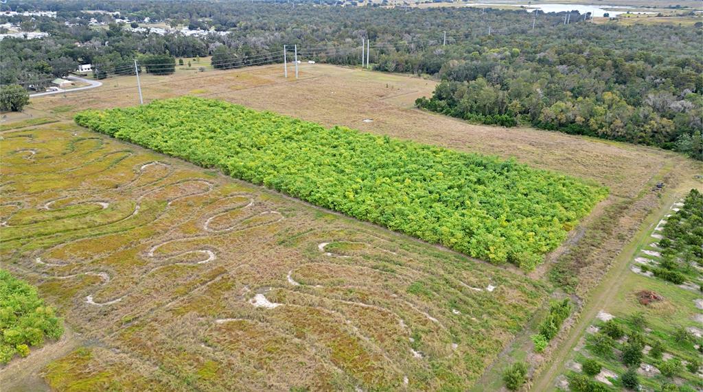 1015 Mt Pisgah Road Fort Meade, FL 33841 - Photo 13 of 20 a view of a garden with a pathway