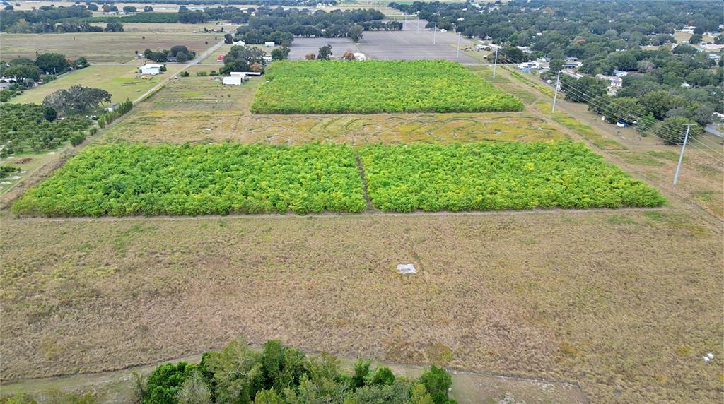 1015 Mt Pisgah Road Fort Meade, FL 33841 - Photo 15 of 20 a view of a street view