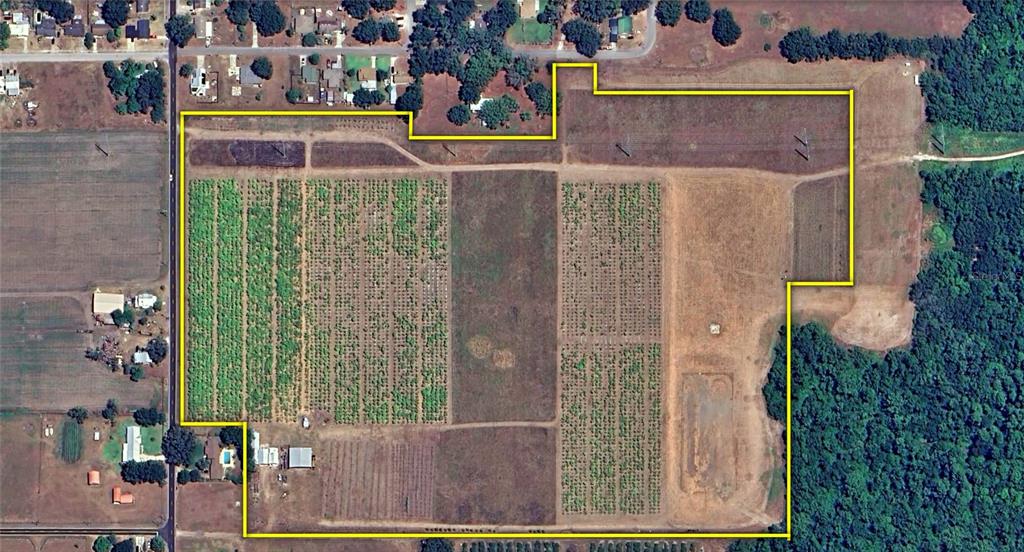 1015 Mt Pisgah Road Fort Meade, FL 33841 - Photo 2 of 20