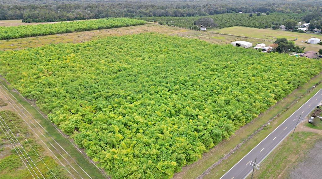1015 Mt Pisgah Road Fort Meade, FL 33841 - Photo 4 of 20 a view of a field of grass with two plants and a bench