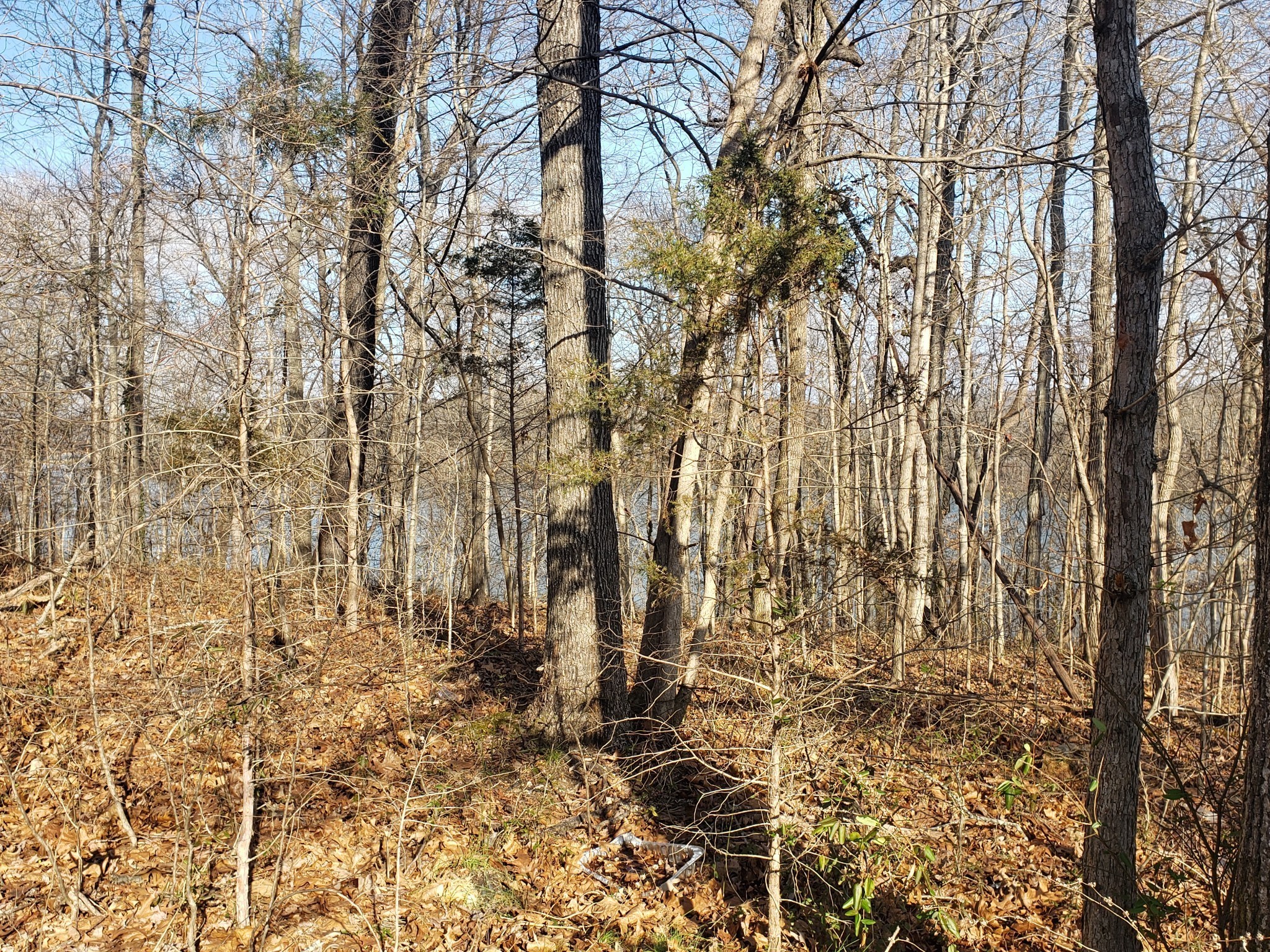 0 Refuge South Road Dover, TN 37058 - Photo 4 of 8