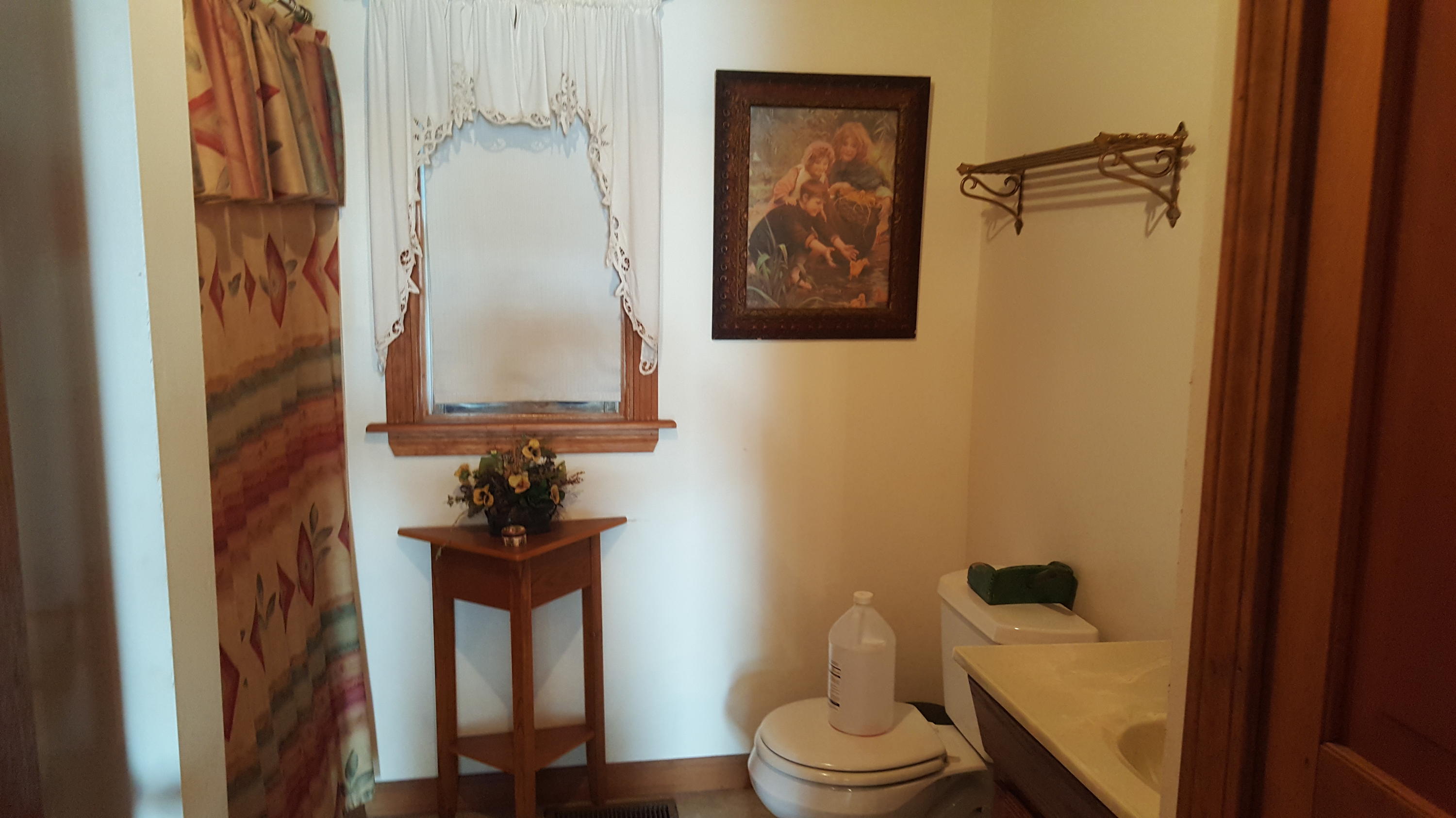 887 South Shore Road Stockholm, ME 04783 - Photo 22 of 33 20190729_185755
