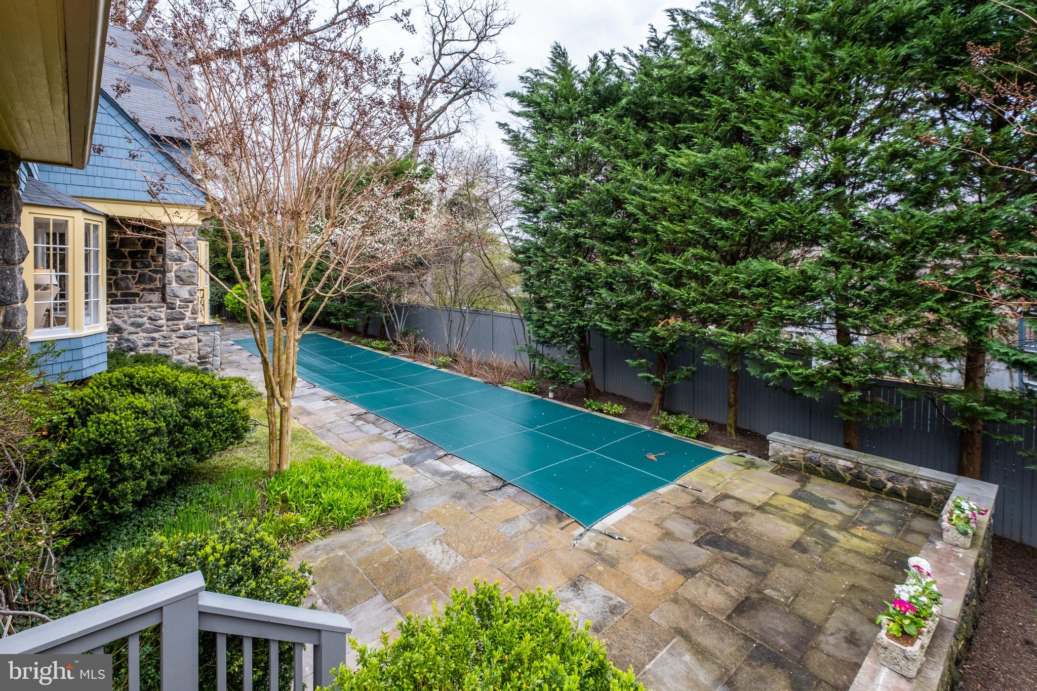 4501 30th Street Northwest Washington, DC 20008 - Photo 53 of 58 Almost pool time