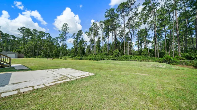 a view of a garden with a slide
