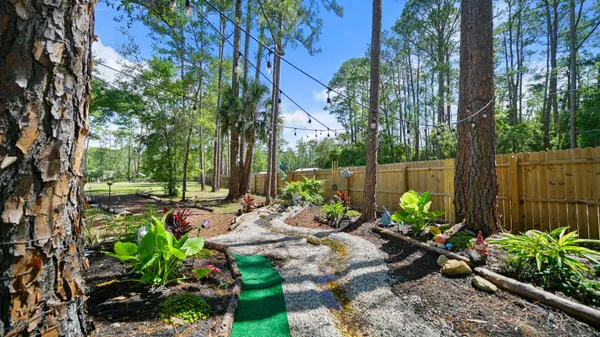 a view of a backyard with plants and large trees