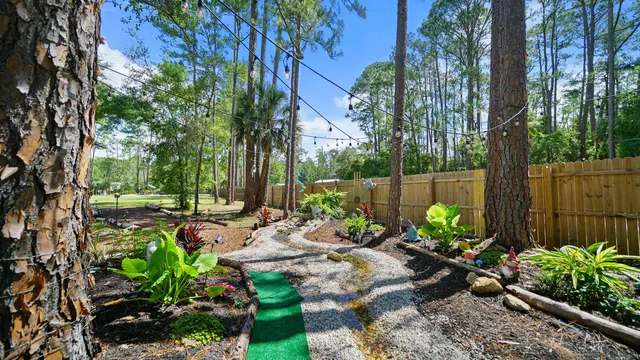 a view of a backyard with plants and large trees