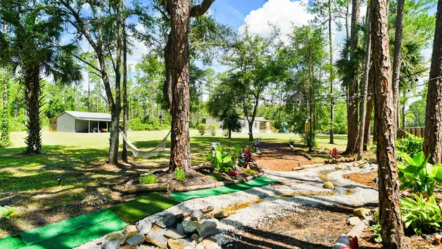 a view of a park with large trees