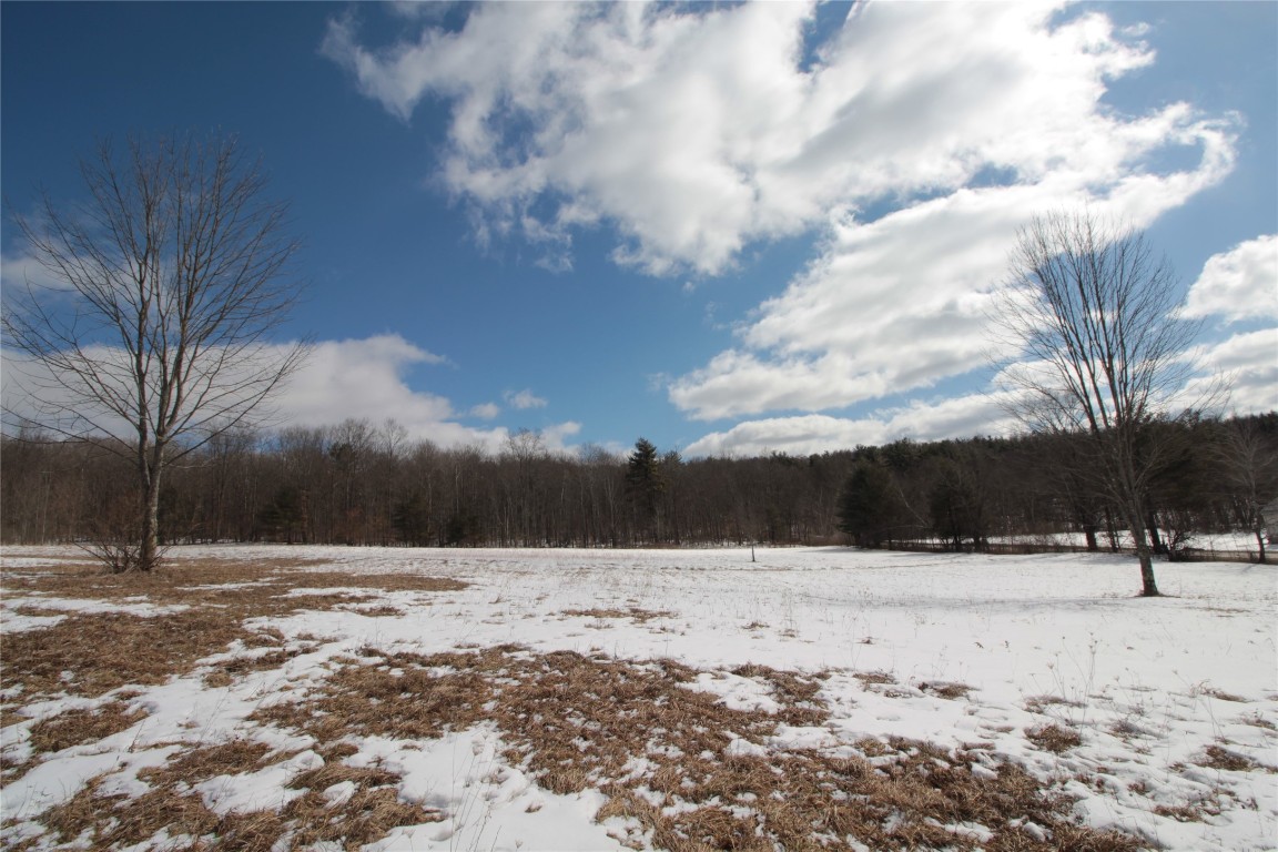 323 Hurd Road Harpursville, NY 13787 - Photo 39 of 44