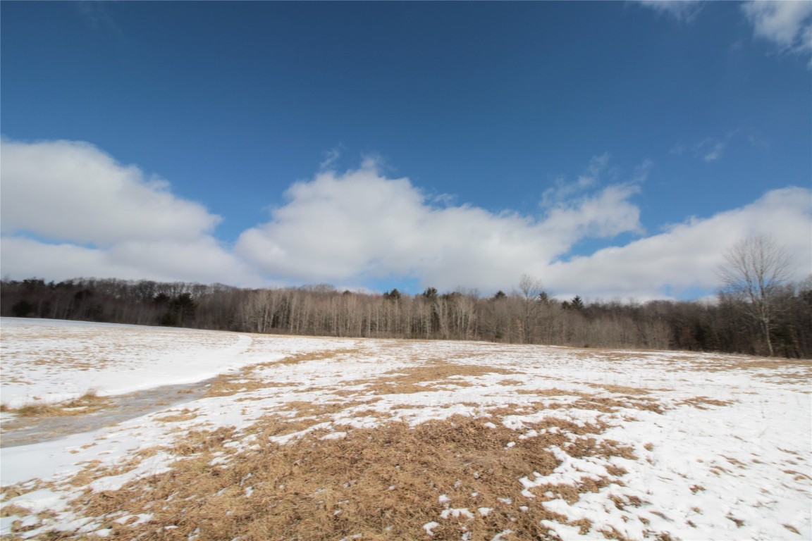 323 Hurd Road Harpursville, NY 13787 - Photo 40 of 44