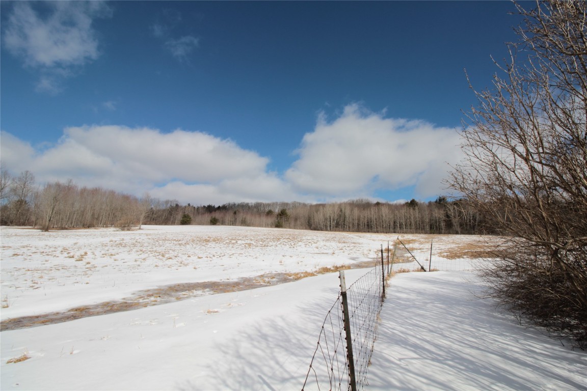 323 Hurd Road Harpursville, NY 13787 - Photo 41 of 44