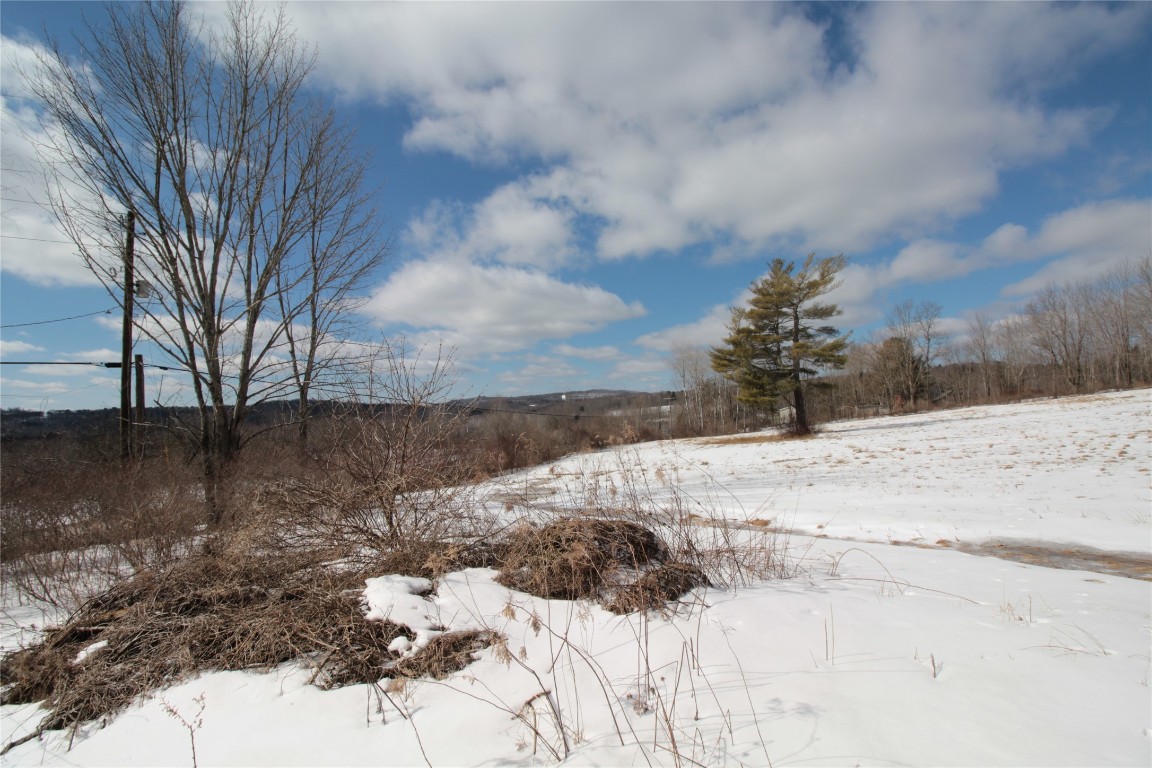 323 Hurd Road Harpursville, NY 13787 - Photo 43 of 44